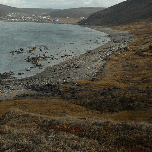 Série de photographies représentant l'environnement du site Qajartalik : mer, végétation, algues et rocher
