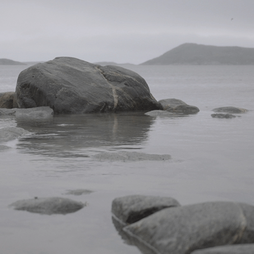 Series of pictures showing the environment of the Qajartalik site: sea, seaweed and rocks