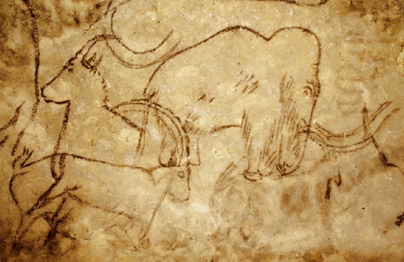 Photographie d'un mammouth, dessiné au crayon de charbon. Faune éteinte du Paléolithique. Site de Rouffignac, Dordogne, France.