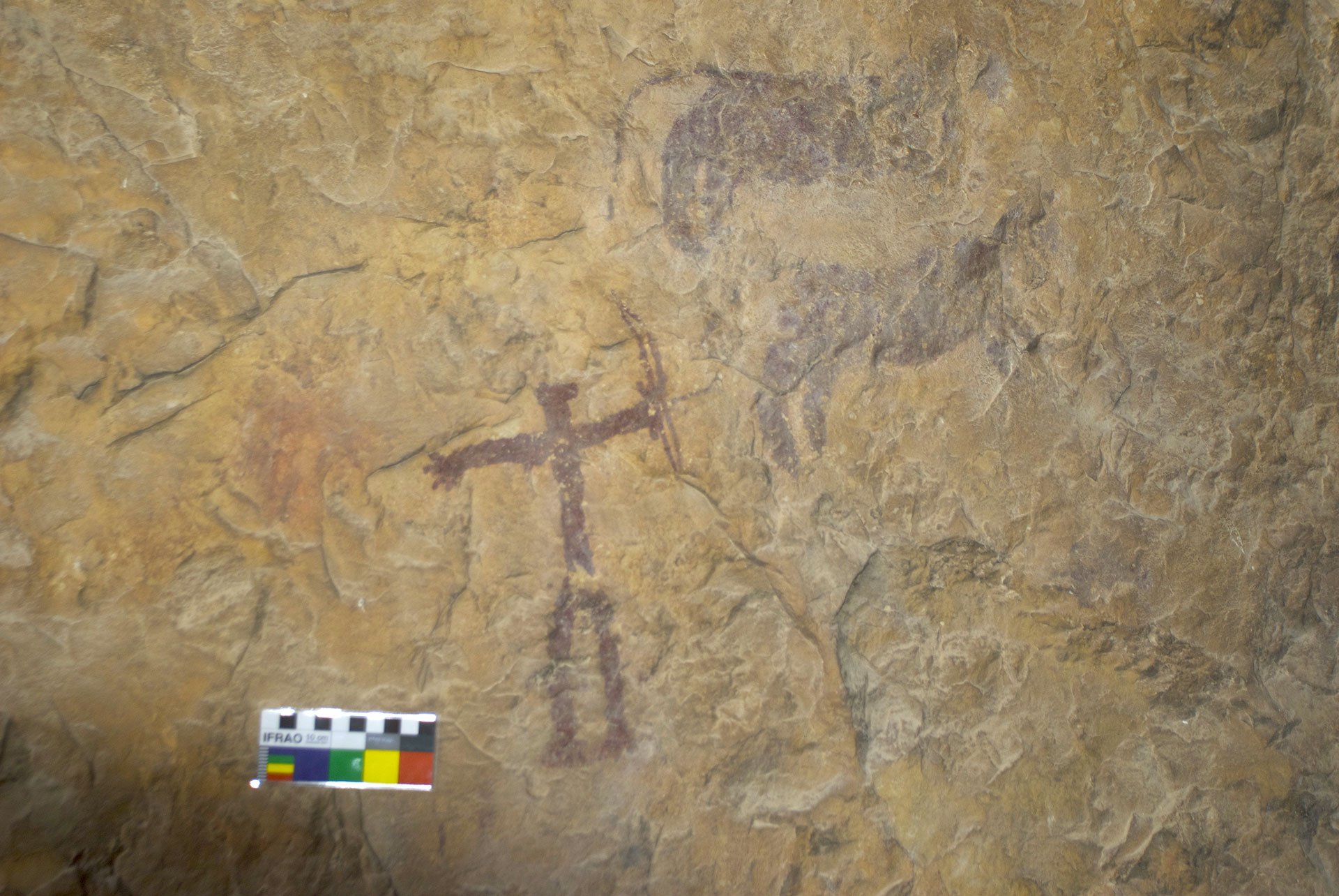 Photogaphie d'une scène de chasse de deux quadrupèdes dont possiblement un félin, par un anthropomorphe armé d'un arc. Site de la Cueva de la Serrata, Espagne.