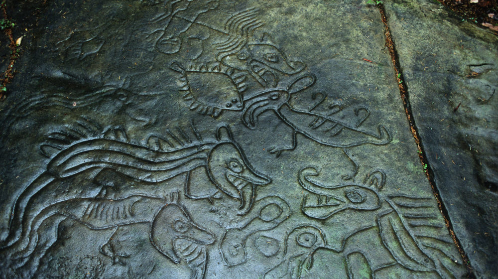 Rock carvings located in the Petroglyph Provincial Park, near the city of Nanaimo, British Columbia. Hybrid beings are represented, reminiscent of those at the K'aka'win site.