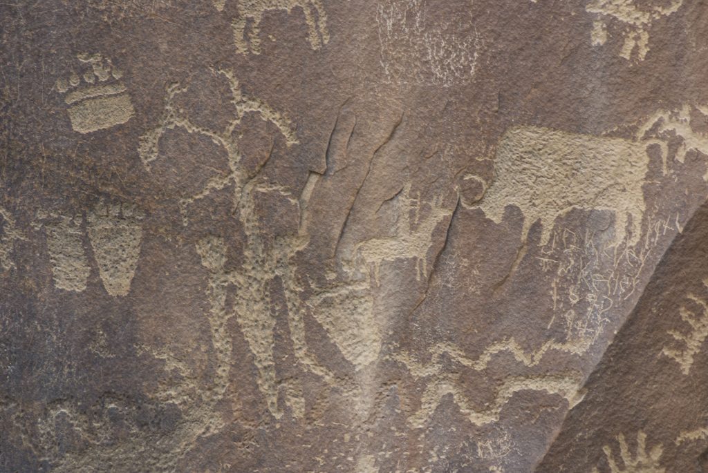 Photographie représentant des motifs variés dont des empreintes de pas (ours ?), un phytomorphe, un chasseur à cheval, un bison et deux serpents. Site de Newspaper Rock, Utah.