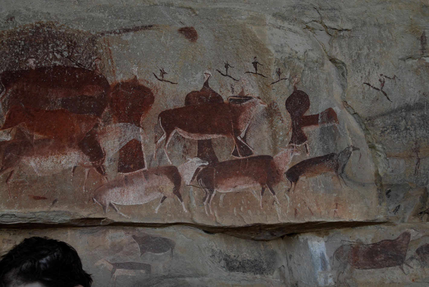 Photographie de peintures polychromes d'élands et de figures humaines, province de KwaZulu-Natal, en Afrique du Sud