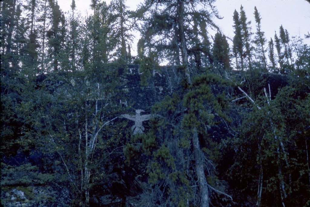 Photographie d’un Oiseau-Tonnerre représenté à Reindeer Lake en Saskatchewan.