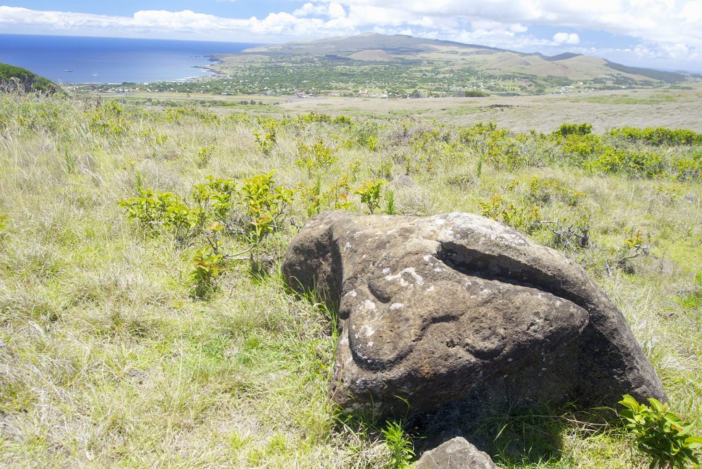 Picture of the Easter Island landscape showing an embossed petroglyph, Rapa Nui site, Chile