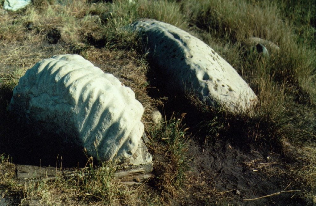 Ribstones près de Viking en Alberta. On y voit une série de traits gravés évoquant la colonne vertébrale et les côtes des bisons.