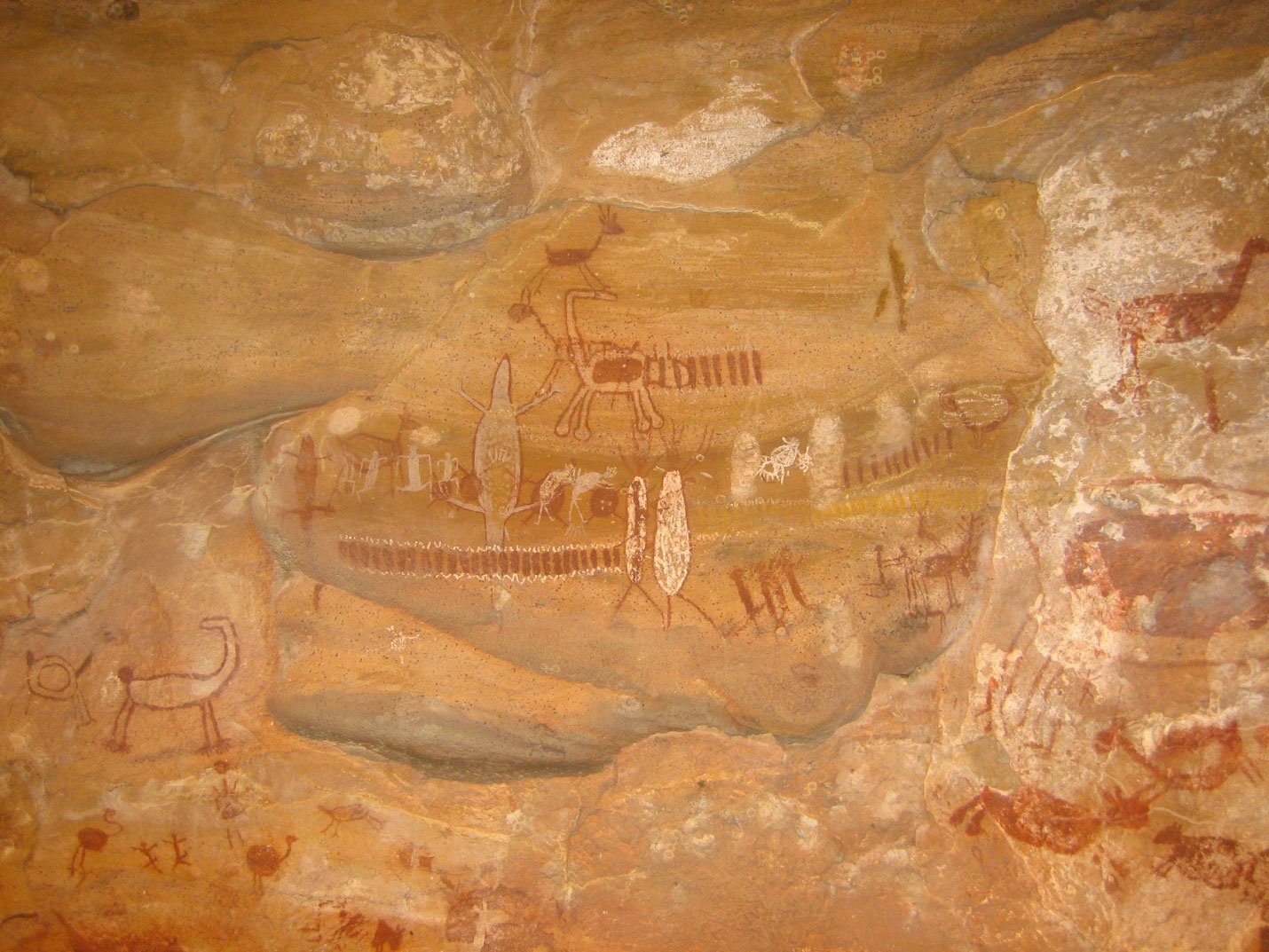 Photographie d'une peinture rupestre localisée au parc national de Serra da Capivara au Brésil. Elle représente de nombreux animaux tels que les reptiles.