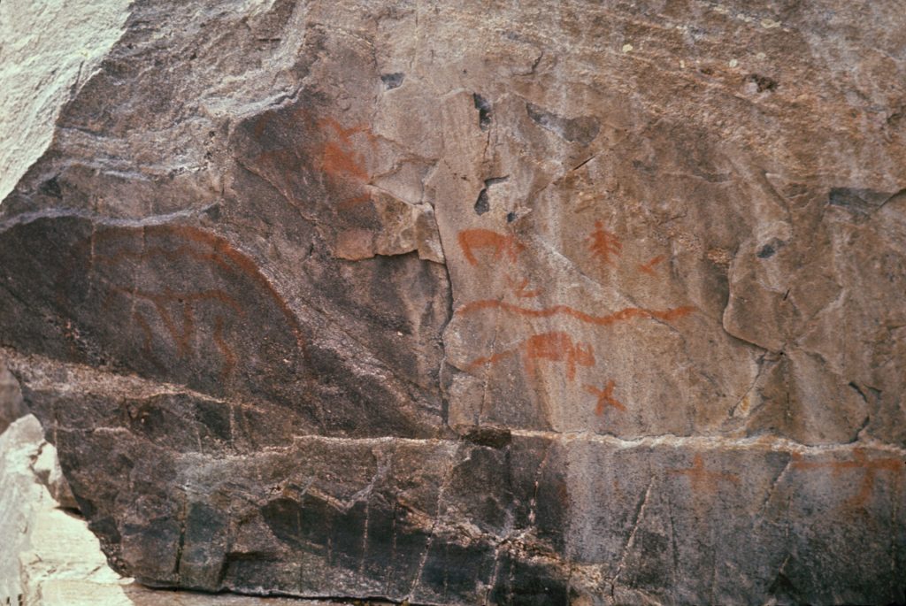 An image of rock art motifs at Stanley-Rapids, Saskatchewan: Bison, a stylized bird and wavy snake-like figures are part of the rich visual repertoire of this site.