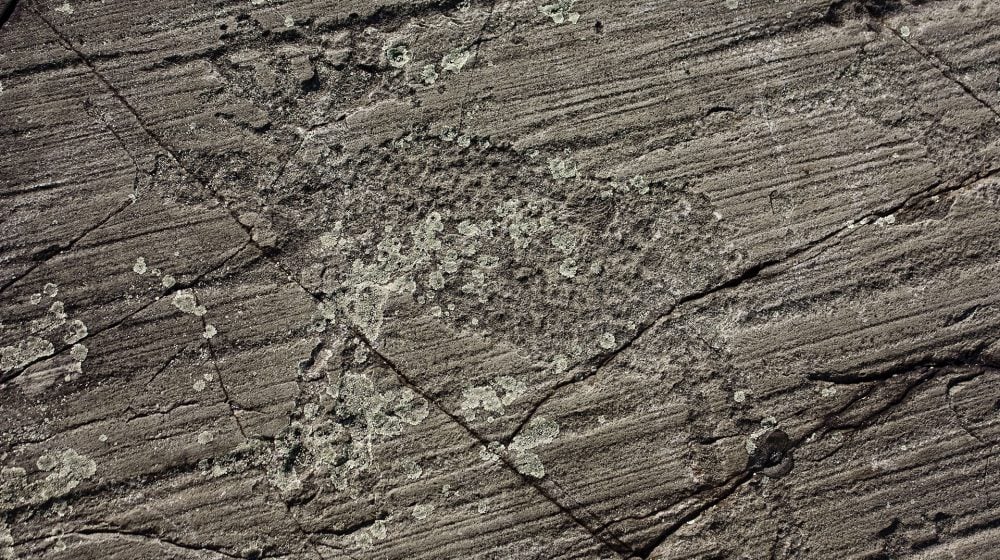Wakimika Lake en Ontario. Photographie d'un rare pétroglyphe du Bouclier canadien représentant un orignal et son panache.