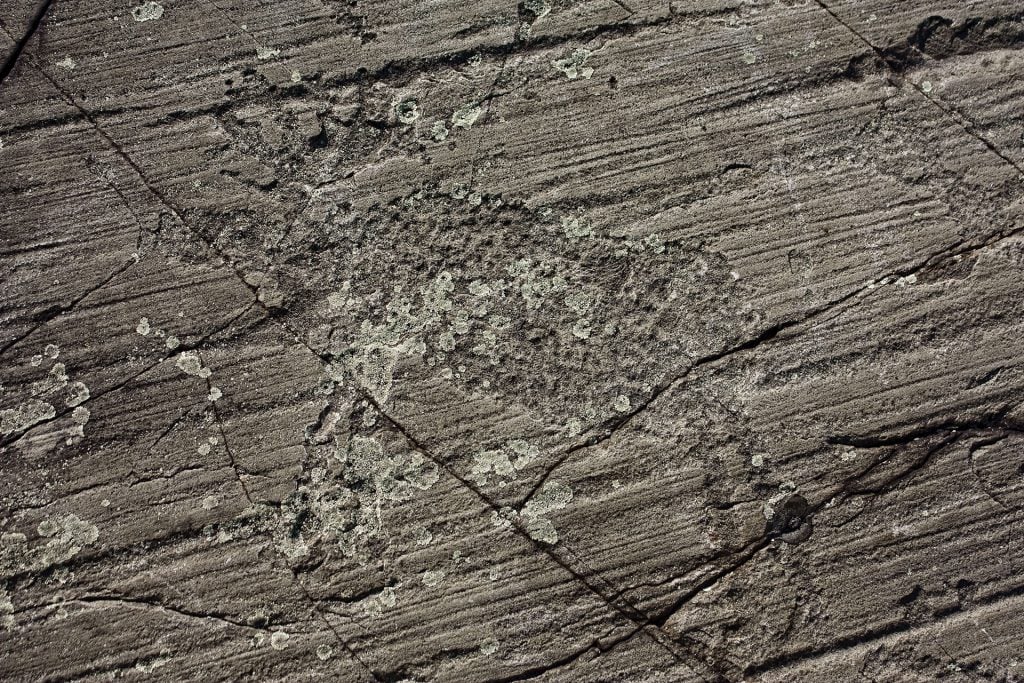 Wakimika Lake, Ontario. Photograph of a rare petroglyph in the Canadian Shield depicting a moose and its antlers.