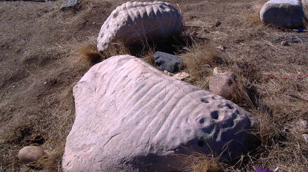 Ribstones near Viking, Alberta. Two small glacial erratics with deeply carved lines and cupules that evoke the bison’s spine and ribs. A couple of the many offerings left at the petroglyphs and in the aspen grove a few meters away are also seen.