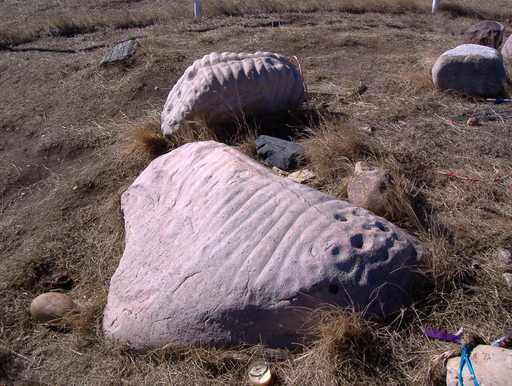 Ribstones près de Viking, en Alberta. Deux petits rochers glaciaires aux lignes et cupules profondément sculptées qui évoquent la colonne vertébrale et les côtes du bison. On peut également y voir quelques-unes des nombreuses offrandes laissées près des pétroglyphes et dans le bosquet de trembles à quelques mètres.